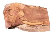 SPALTED MAPLE BURL SLAB TURNING CRAFTING WOODWORKING APPROX 11x7x1.25 IN