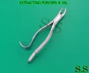 12 PCS Tooth Extracting Forceps # 20L Surgical Dental Instruments