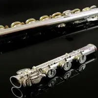 在飛比找Yahoo!奇摩拍賣優惠-現貨德國長笛樂器純銀笛頭專業17開孔長笛樂團專用演奏級