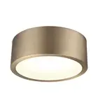 Globe Electric 60979 LED Integrated Flush Mount Ceiling Light, Matte Brass, F...