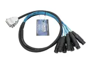 Elite Core DB25XF5 25-pin Analog D-Sub to 8 XLR Female Breakout Snake - 5'