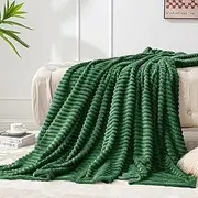 BEDELITE Fleece Throw Blanket for Couch – 3D Ribbed Jacquard Soft and Warm Decorative Spring Blankets – Cozy, Fuzzy, Fluffy, Plush Lightweight Green Throw Blankets for Bed, Sofa, 50x60 inches