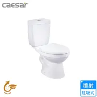 在飛比找momo購物網優惠-【CAESAR 凱撒衛浴】省水馬桶/管距40(CT1425 