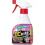 小禮堂 COGIT 密著除霉噴霧 300ML (粉款)