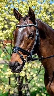 Patent Mid Thin Crystal Wave Snaffle Bridle (Cob, Black)