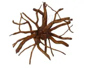 Madusa Teak Tree Spirit SUN GODDESS Face Carfted Handmade Mask Teak Root Tiki