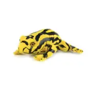 NEW PLUSH SOFT TOY Korimco Southern CORROBOREE FROG 22cm - Rare Endangered