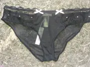 Adore Me/VS mesh Embroidered Kitty Bikini Panty NEW Medium Black