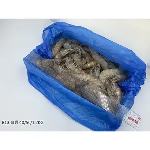 鱻活/南美冷凍白蝦 40/50  1.12公斤