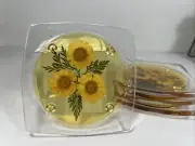 Vintage Lucite Coasters Pressed Flower Set of 4 Acrylic MCM Daisies