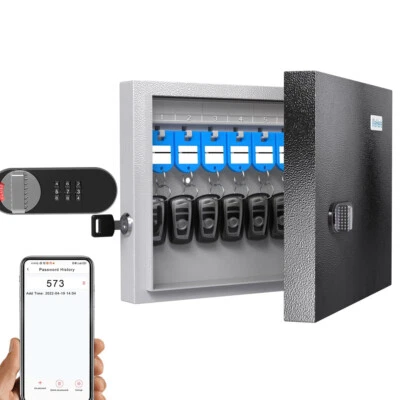 Lock Box with Dual Lock, Combination & Key Unlock,