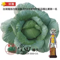 在飛比找蝦皮購物優惠-【野菜部屋~】E39 夏天甘藍種子10粒 , 耐熱高麗菜冠軍