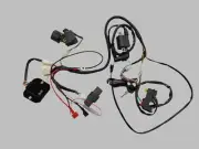 Basic Wire Wiring Harness Loom 150cc 250cc Engine PIT Quad Dirt Bike ATV Buggy