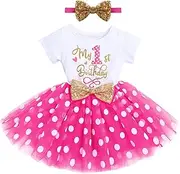 [IMEKIS] Baby Girls 1st 2nd Birthday Outfit Mouse Ladybug Dress Headband Polka Dots Tutu Skirt Set ONE Cake Smash Photo Shoot