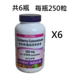 🔥熱銷🔥 COSTCO好市多 WEBBER CRANBERRY 高單位蔓越莓濃縮精華膠囊 蔓越莓錠 蔓越莓膠囊 250粒