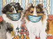 Sheltie in Quarantine 8x10 Art Print Collectible Artist KSams Shetland Sheepdog