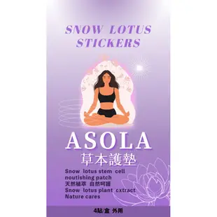 Asola草本護理排出棉