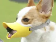 Pet Dog Muzzle Duck Mouth for Dog Anti Bite Mouth Cover Stop Bark Size Large