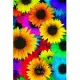 Sunflowers: Flower Journal Notebook (110 Pages, 6’’’’ x 9’’’’)