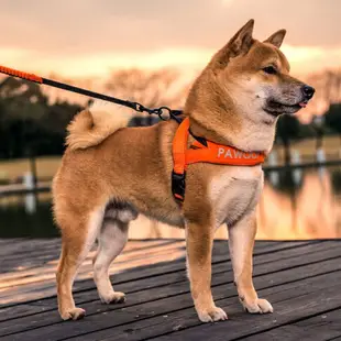 寵物胸背帶 狗狗牽引繩胸背帶小型中型大型犬狗錬背心式柴犬柯基寵物遛狗繩子【XXL16239】