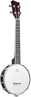 Melodic 4 String Banjo for Beginner Music Instrument w/Picks 20 Frets 12 Brackets