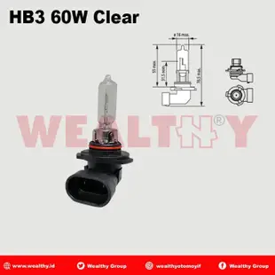 Wealthy Hb3 9005 12V/100W 汽車前照燈 Hb3 鹵素燈