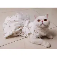 在飛比找蝦皮購物優惠-Baju princess kucing 貓衣服狗衣服寵物襯