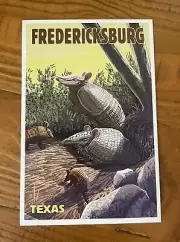 Fredericksburg, Texas - Armadillo - Lantern Press Postcard