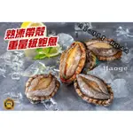 【炙尊炊食】熟凍帶殼 重量級鮑魚【500G/8粒/包(包冰20%)】_冷凍_生鮮_露營_燒烤_烤肉_食材_鍋物_海鮮