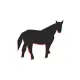2020 Daily Planner Horse Illustration Equine Black Red Horse Silhouette 388 Pages: 2020 Planners Calendars Organizers Datebooks Appointment Books Agen