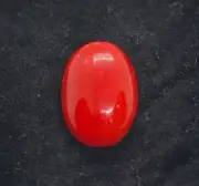 Italian Red Coral Oval Shape 11.5 Carat-Expansive Natural Red Coral Cabochon-