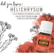 Helichrysum Young Living Essential Oil 5ml