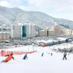 【洪川大明SONO滑雪度假村】首爾滑雪一天團★含雪具雪服、單雙板基礎滑雪課★不含吊車證(3歲以下兒童免費)