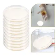 10 Pcs Culture Medium Agar for Petri Dishes Plates Laboratory