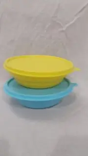 Tupperware Cereal Bowl Set Of 2 Carry Fruits & Dry Snacks