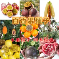 在飛比找蝦皮購物優惠-【買二送一】百香果種子 四季水果 台灣滿天星 黃金百香果種子