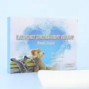 Travel Laundry Detergent Sheets 64 Loads（32 Sheets）Eco-friendly Washing Detergent Sheets Liquid-less Washer Sheets, Plastic-Free Laundry Sheets for Home Dorm Travel Camping