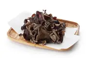 Mycélium de Champignon Noir - Kit de culture Champignons - grow mushrooms kit