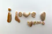Natural Letter Shaped I LOVE YOU! beach shell craft/art seashell Anniversary USA
