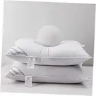 Natural Goose Down&Feather Pair Hotel Pillows Insert Standard (Pack of 2) White