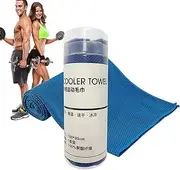 Ice Towel,Quick Dry Chilly Ice Feel Cooling Towel | Breathable Sweat Workout Rags, Soft Outdoor Gym Accessories for Fitness, Yoga, Running