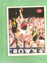 1996 AFL SELECT STICKER #231 ESSENDON & RICHMOND, 1995 FINALS SERIES HIGHLIGHTS