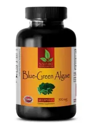 for cholesterol ORGANIC BLUE GREEN ALGAE brain focus and memory supplements 1 BO