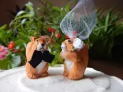 Squirrel Figures Cake Topper Bride Groom Love Wedding Engagement Wood Statue