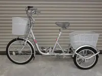 在飛比找Yahoo!奇摩拍賣優惠-raych r33 日本 shimano內三速三輪車 (高雄