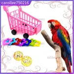 BIRD TOYS SET COCKATIEL FUNNY INTERACTIVE PLASTIC IQ TRAININ