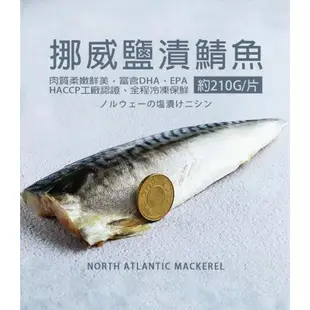 築地一番鮮-厚片超大油質豐厚挪威薄鹽鯖魚8片免運組(210g片)