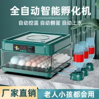 在飛比找樂天市場購物網優惠-【最低價】【公司貨】孵化器小型家用全自動智能孵化機鸚鵡雞鴨鵝