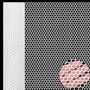 Chicken Wire Mesh Roll 3m Plastic Mesh Fencing Poultry Breeding Netting Garden Balcony Fence Mesh for Home Décor and Gardening, Temporary Fencing for Yard (40cm x 3m, White)