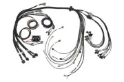 HALTECH Elite 2500 for BlockGM, Ford & Chrysler Terminated Harness HT-142005